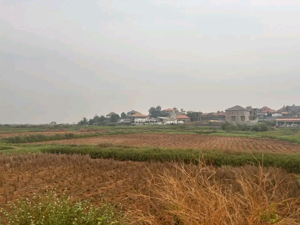 Terrain