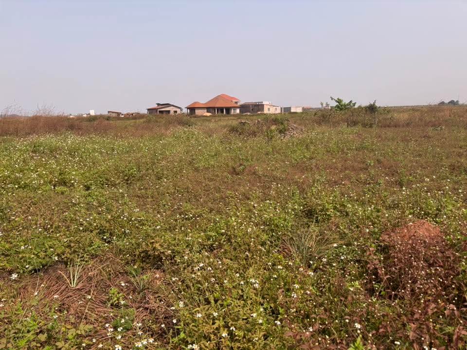 Image 14